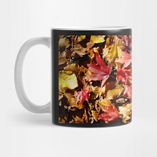 Colorful Fallen Autumn Leaves 1 - Seasons - Nature Abstract Mug